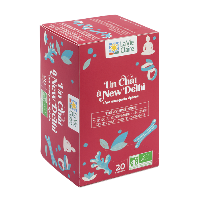 THE UN CHAI A NEW DELHI 