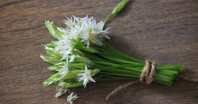Frozen Bear's Garlic 250 grs Bag Unit