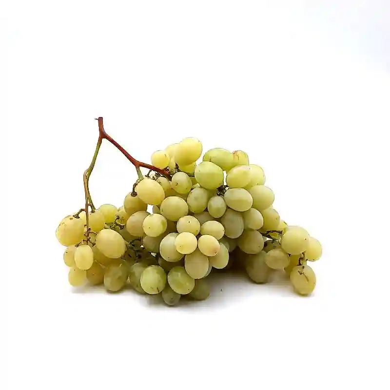 Raisin Blanc Italie - Kg