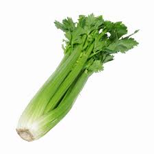 Celery 1 pce
