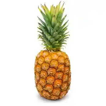 Organic Pineapple per Unit