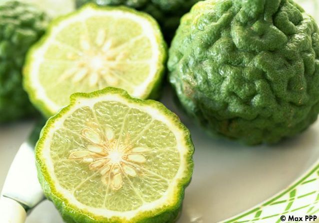 Frozen Kaffit Lime Citrus 200 grs Bag 