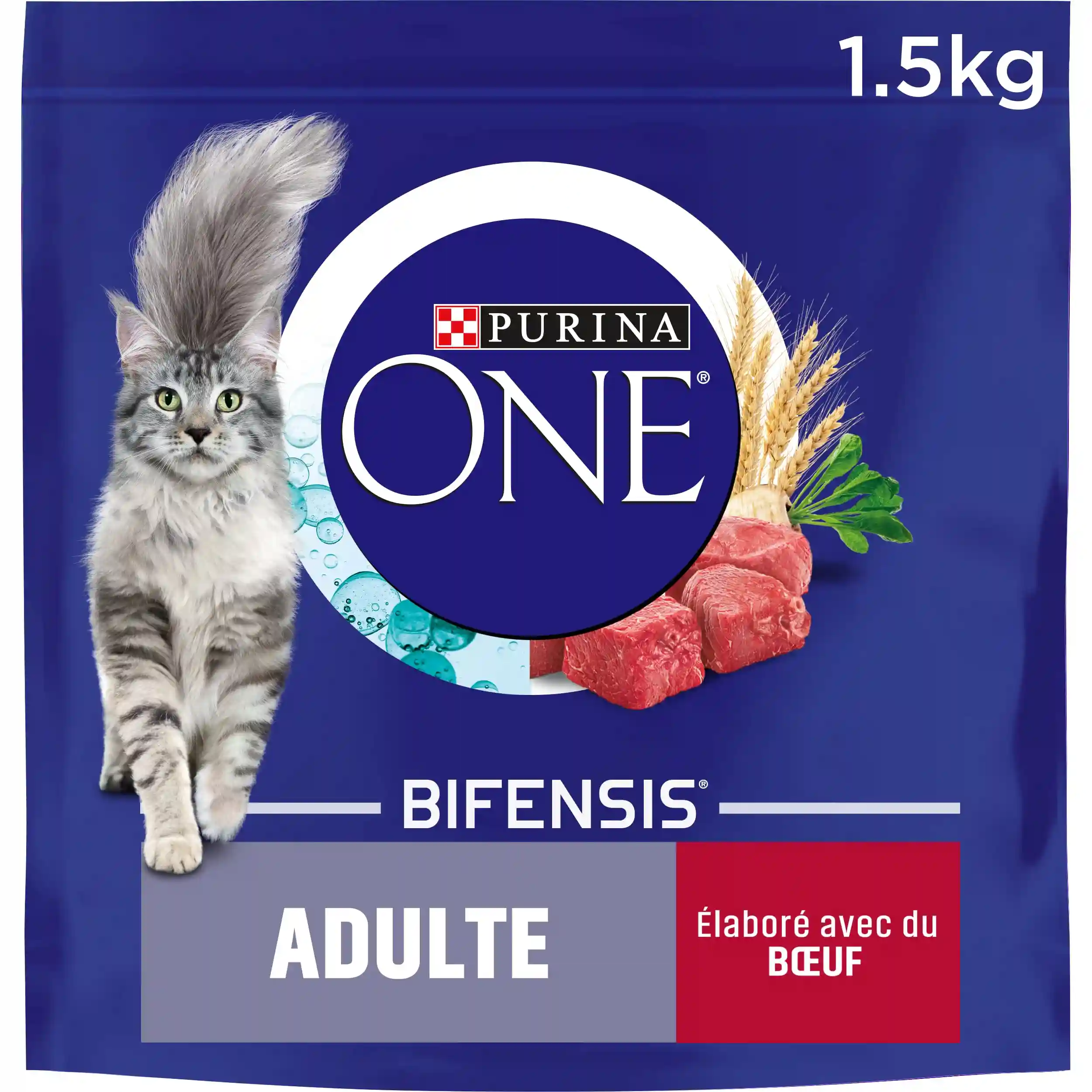 Purina One beef kibbles for adult cats