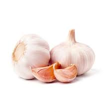 Garlic - Unit