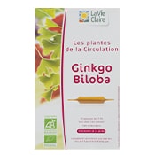 EXT FLUIDE GINKGO BILOBA