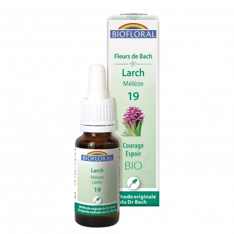 Larch 19 bio 20ml - espoir - Fleur De Bach