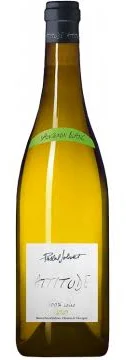 Sauvignon Attitude / Pascal Jolivet ORGANIC - 2023 - 75cl