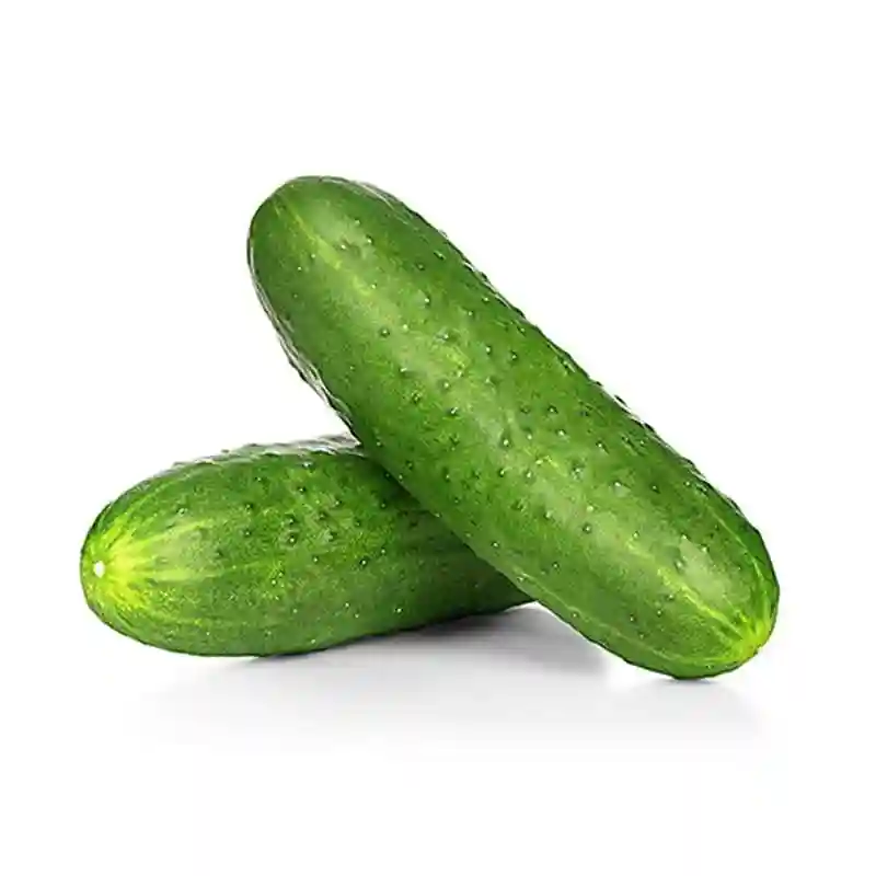 Short cucumber - Kg