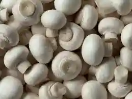 White Button Mushroom - Kg