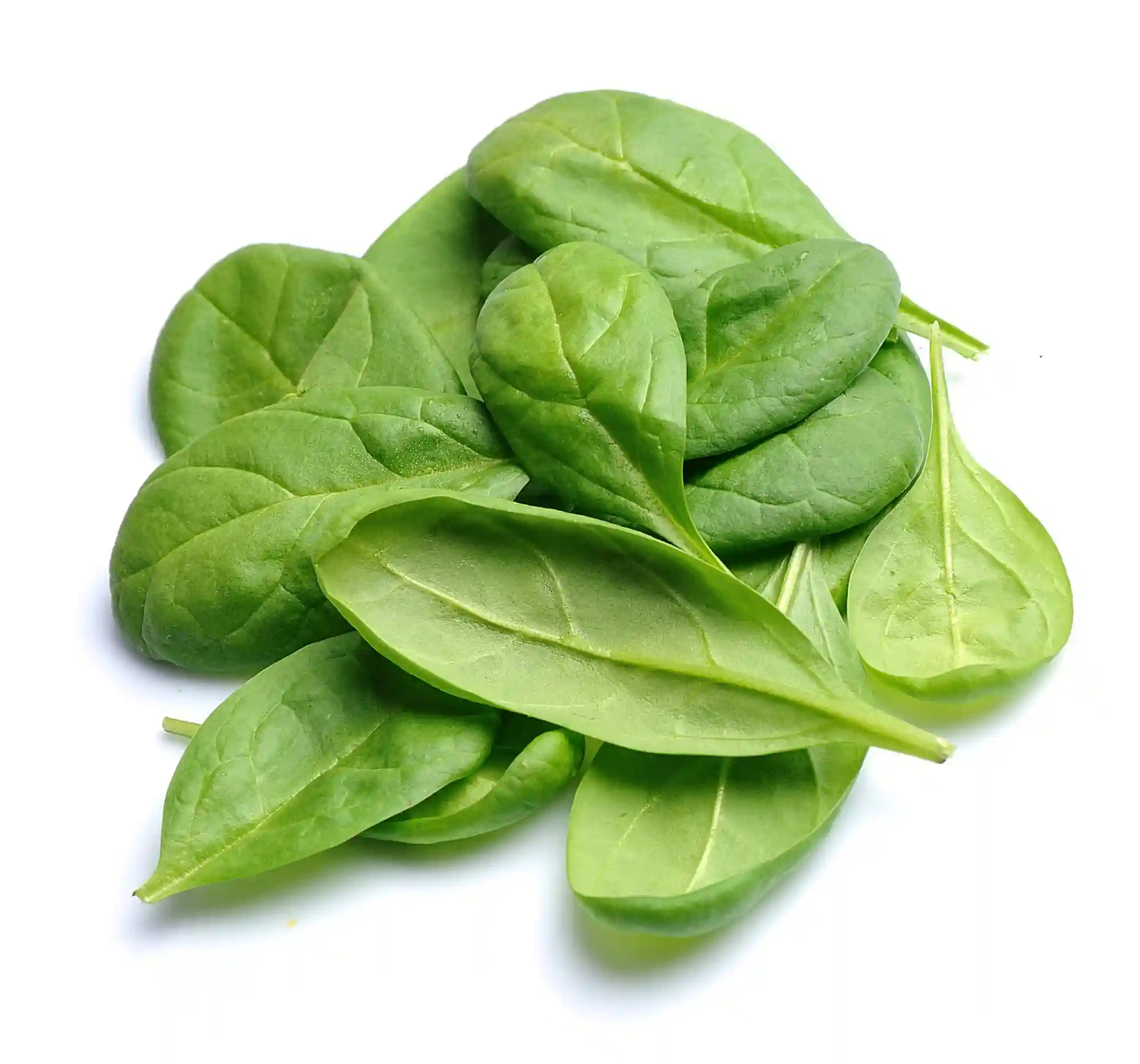 Spinach - Organic - kg