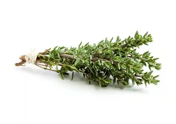 Thyme - Boot